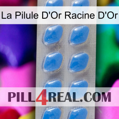 The Golden Root Gold Pill 22